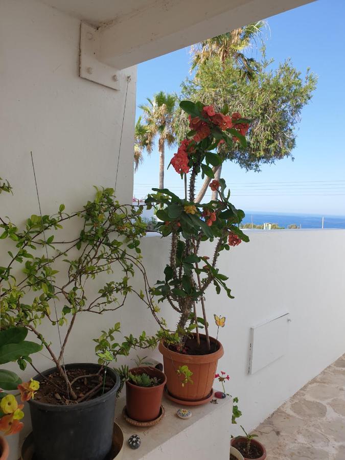 Ikaria Village-Ground Floor Apartment No 4 Klorakas Luaran gambar