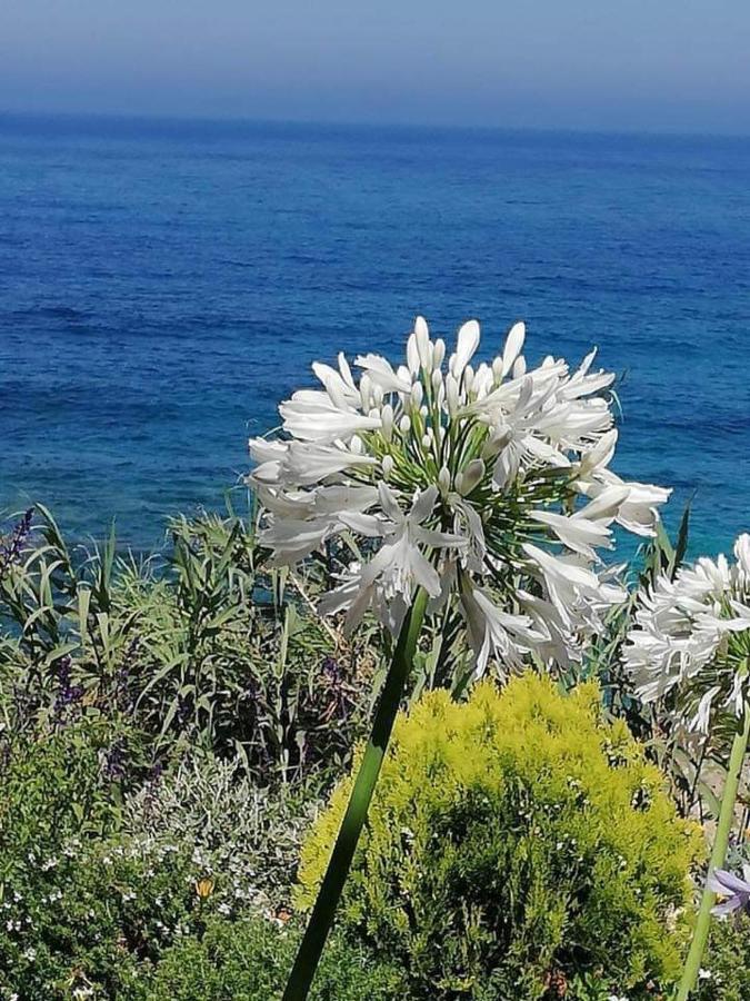 Ikaria Village-Ground Floor Apartment No 4 Klorakas Luaran gambar