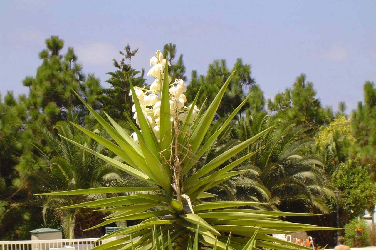 Ikaria Village-Ground Floor Apartment No 4 Klorakas Luaran gambar